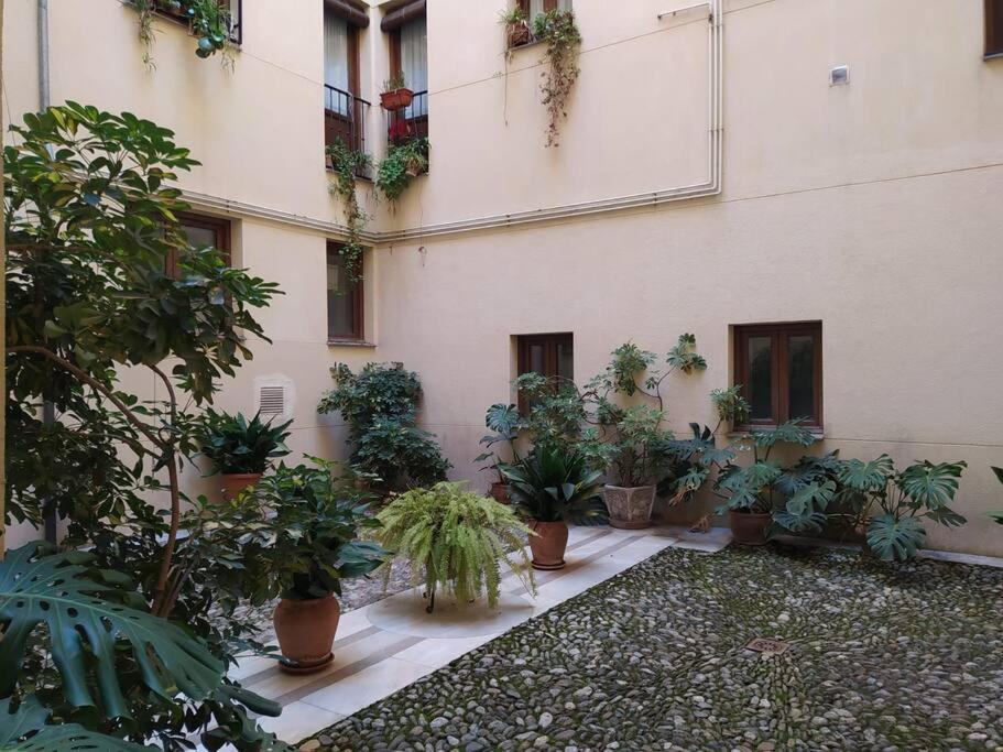 4 Balconies House, Central And Near The Alhambra Γρανάδα Εξωτερικό φωτογραφία